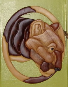 KODAK Digital Still Camera