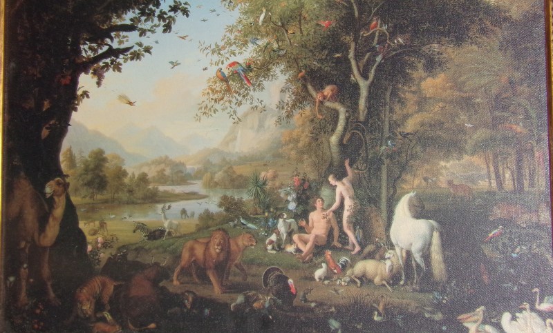 KODAK Digital Still Camera