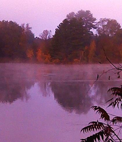 227535_3923420649253_244488485_n