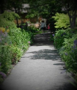 10484453_10202396352215424_2243187643042747248_n